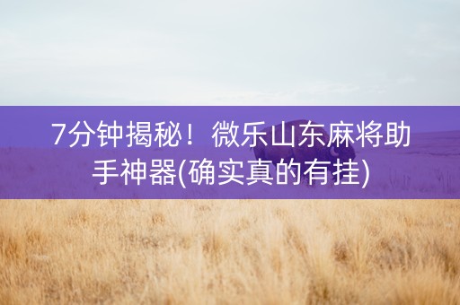 7分钟揭秘！微乐山东麻将助手神器(确实真的有挂)