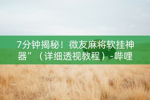 7分钟揭秘！微友麻将软挂神器”（详细透视教程）-哔哩哔哩