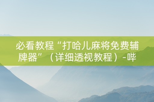 必看教程“打哈儿麻将免费辅牌器”（详细透视教程）-哔哩哔哩