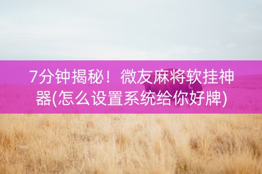 7分钟揭秘！微友麻将软挂神器(怎么设置系统给你好牌)