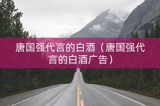 唐国强代言的白酒（唐国强代言的白酒广告）