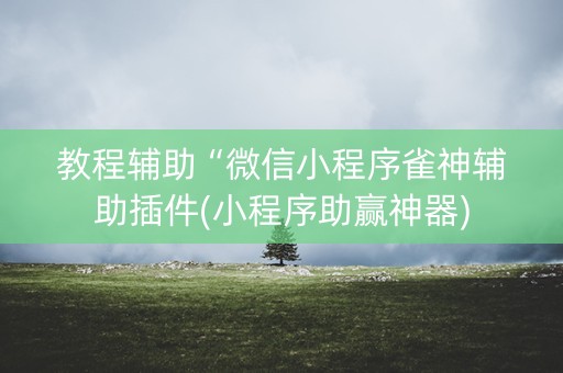 教程辅助“微信小程序雀神辅助插件(小程序助赢神器)