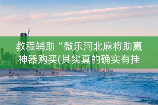 教程辅助“微乐河北麻将助赢神器购买(其实真的确实有挂)