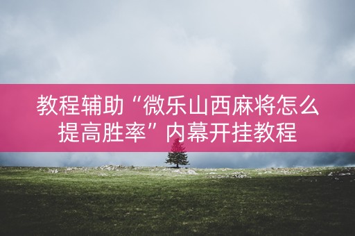 教程辅助“微乐山西麻将怎么提高胜率”内幕开挂教程