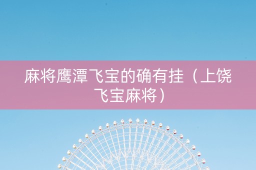 麻将鹰潭飞宝的确有挂（上饶飞宝麻将）