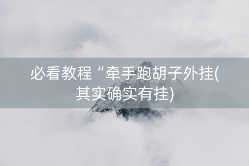 必看教程“牵手跑胡子外挂(其实确实有挂)
