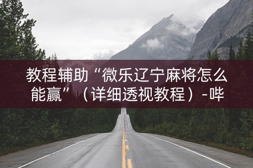 教程辅助“微乐辽宁麻将怎么能赢”（详细透视教程）-哔哩哔哩