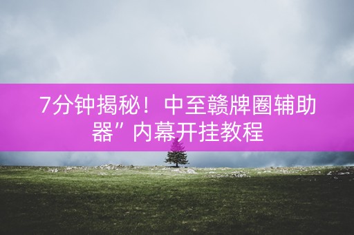 7分钟揭秘！中至赣牌圈辅助器”内幕开挂教程
