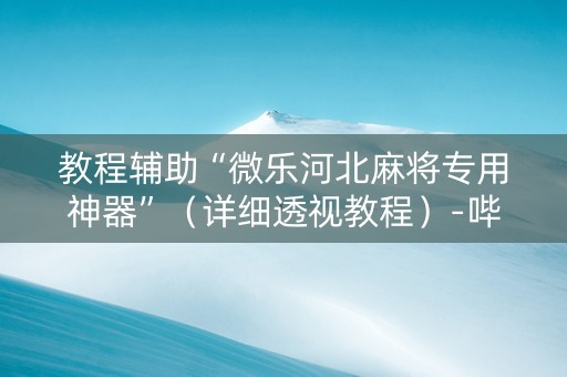 教程辅助“微乐河北麻将专用神器”（详细透视教程）-哔哩哔哩