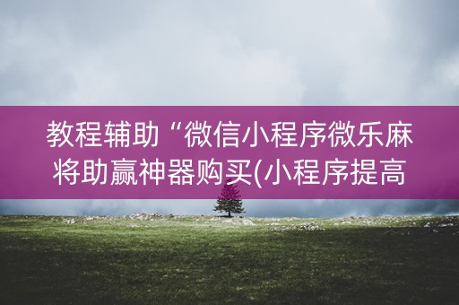 教程辅助“微信小程序微乐麻将助赢神器购买(小程序提高胜率)