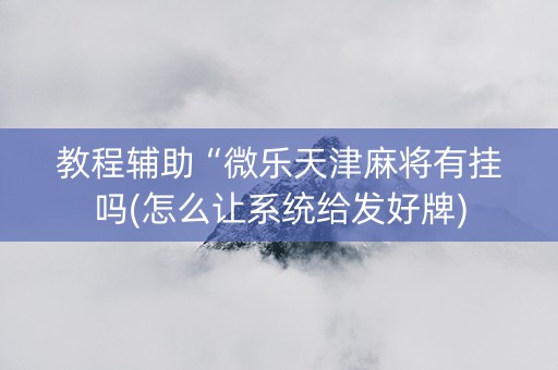 教程辅助“微乐天津麻将有挂吗(怎么让系统给发好牌)