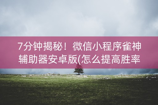 7分钟揭秘！微信小程序雀神辅助器安卓版(怎么提高胜率)