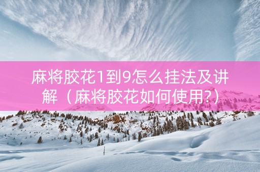 麻将胶花1到9怎么挂法及讲解（麻将胶花如何使用?）
