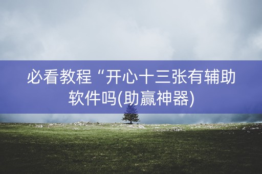 必看教程“开心十三张有辅助软件吗(助赢神器)