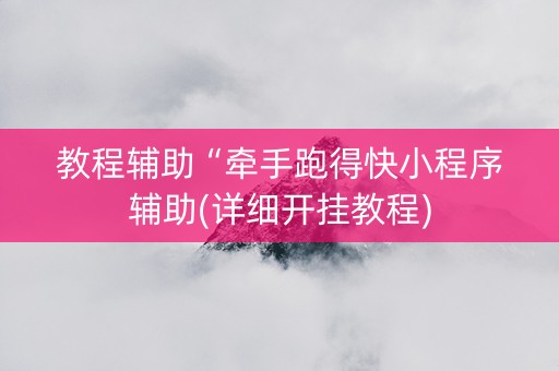 教程辅助“牵手跑得快小程序辅助(详细开挂教程)