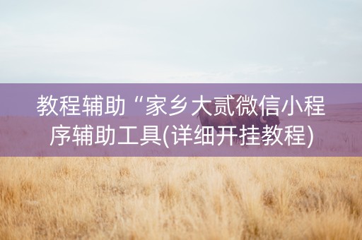 教程辅助“家乡大贰微信小程序辅助工具(详细开挂教程)