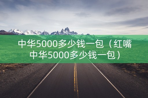 中华5000多少钱一包（红嘴中华5000多少钱一包）