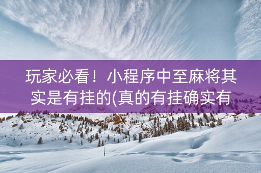 玩家必看！小程序中至麻将其实是有挂的(真的有挂确实有挂)