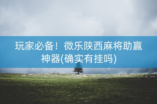 玩家必备！微乐陕西麻将助赢神器(确实有挂吗)