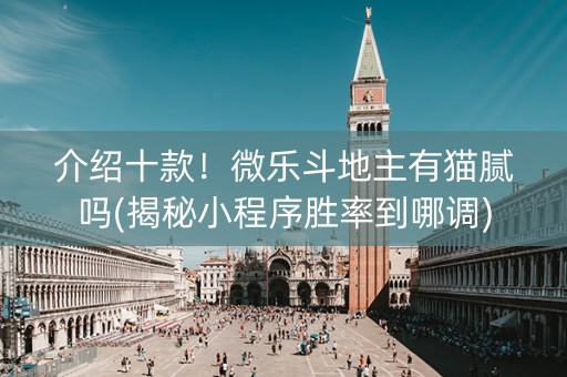 介绍十款！微乐斗地主有猫腻吗(揭秘小程序胜率到哪调)