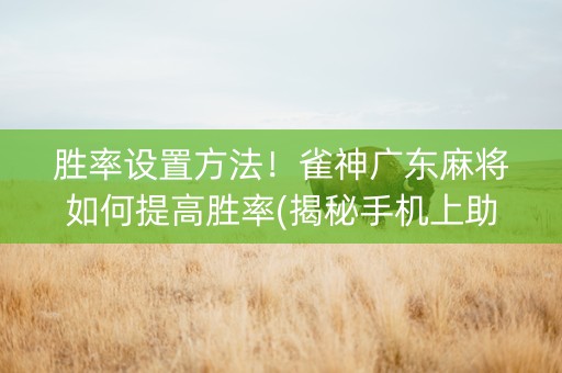 胜率设置方法！雀神广东麻将如何提高胜率(揭秘手机上助赢神器)