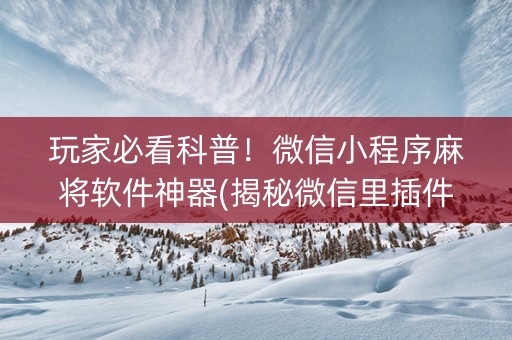 玩家必看科普！微信小程序麻将软件神器(揭秘微信里插件购买)