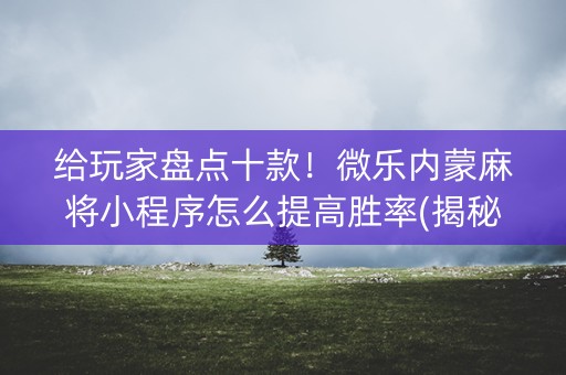 给玩家盘点十款！微乐内蒙麻将小程序怎么提高胜率(揭秘小程序最新神器下载)