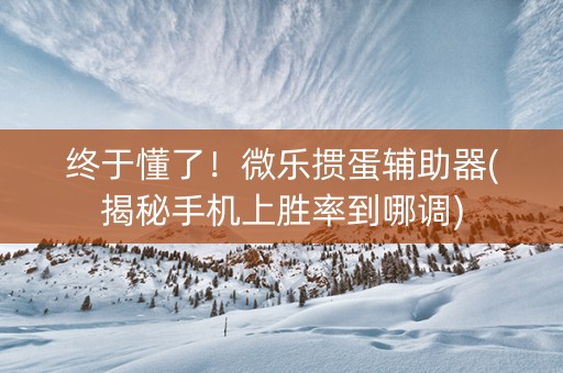 终于懂了！微乐掼蛋辅助器(揭秘手机上胜率到哪调)