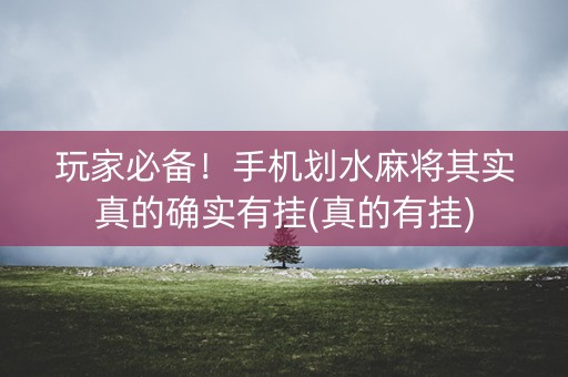玩家必备！手机划水麻将其实真的确实有挂(真的有挂)