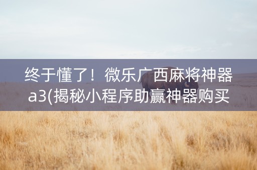 终于懂了！微乐广西麻将神器a3(揭秘小程序助赢神器购买)