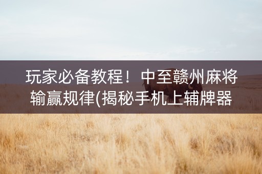 玩家必备教程！中至赣州麻将输赢规律(揭秘手机上辅牌器)