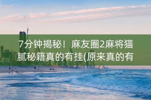 7分钟揭秘！麻友圈2麻将猫腻秘籍真的有挂(原来真的有挂)