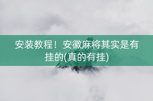 安装教程！安徽麻将其实是有挂的(真的有挂)