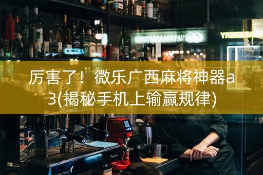 厉害了！微乐广西麻将神器a3(揭秘手机上输赢规律)