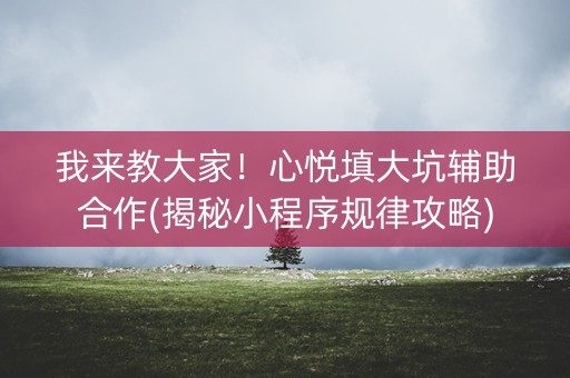 我来教大家！心悦填大坑辅助合作(揭秘小程序规律攻略)