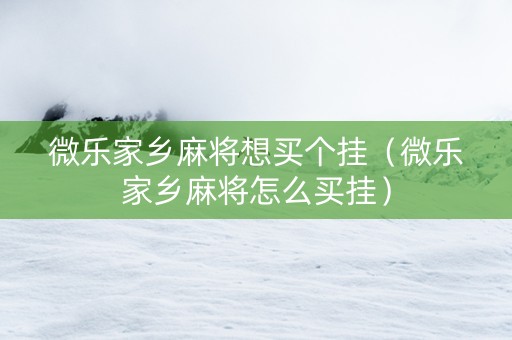 微乐家乡麻将想买个挂（微乐家乡麻将怎么买挂）