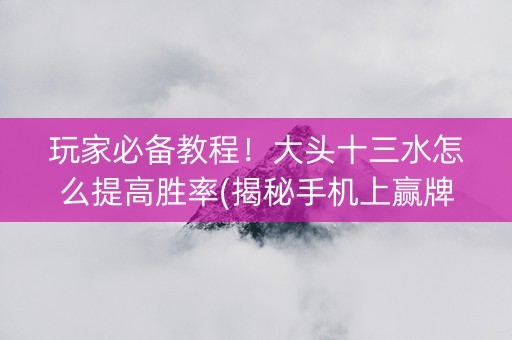 玩家必备教程！大头十三水怎么提高胜率(揭秘手机上赢牌的技巧)
