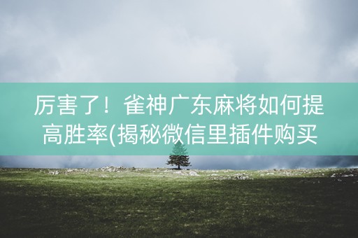 厉害了！雀神广东麻将如何提高胜率(揭秘微信里插件购买)