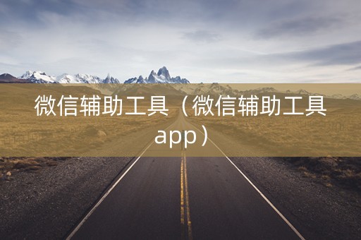 微信辅助工具（微信辅助工具app）