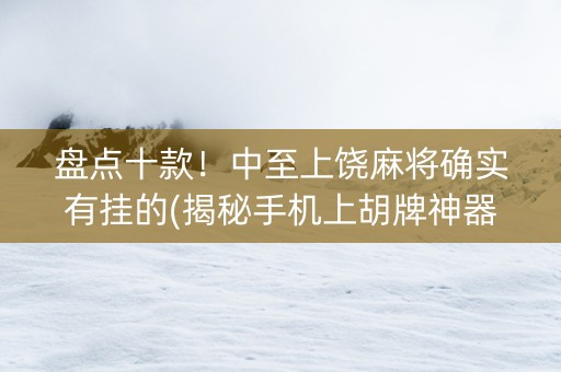 盘点十款！中至上饶麻将确实有挂的(揭秘手机上胡牌神器)