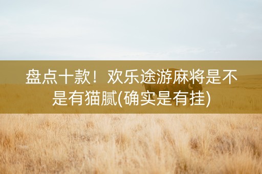 盘点十款！欢乐途游麻将是不是有猫腻(确实是有挂)