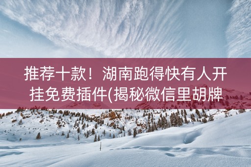推荐十款！湖南跑得快有人开挂免费插件(揭秘微信里胡牌神器)