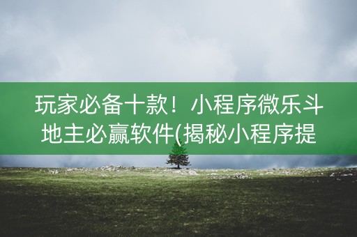 玩家必备十款！小程序微乐斗地主必赢软件(揭秘小程序提高胜率)