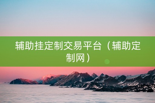 辅助挂定制交易平台（辅助定制网）