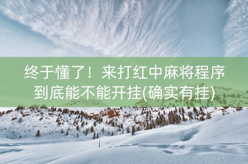 终于懂了！来打红中麻将程序到底能不能开挂(确实有挂)