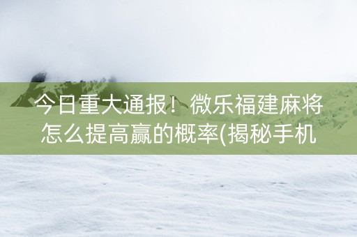 今日重大通报！微乐福建麻将怎么提高赢的概率(揭秘手机上胜率到哪调)
