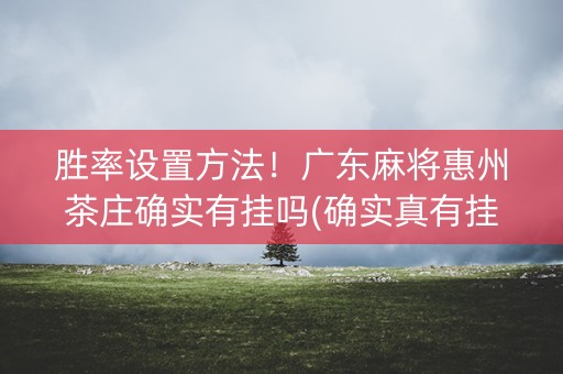 胜率设置方法！广东麻将惠州茶庄确实有挂吗(确实真有挂)