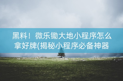 黑料！微乐锄大地小程序怎么拿好牌(揭秘小程序必备神器)