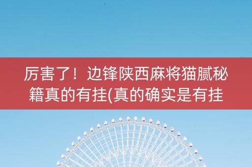厉害了！边锋陕西麻将猫腻秘籍真的有挂(真的确实是有挂)