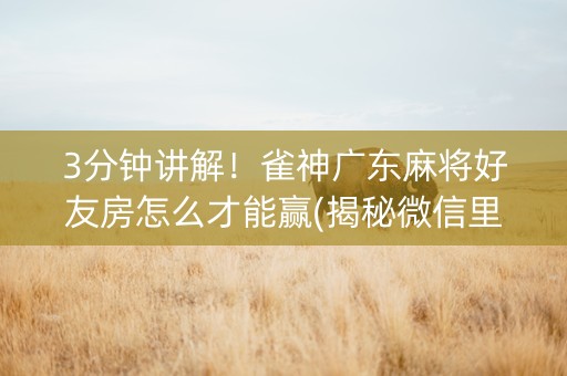 3分钟讲解！雀神广东麻将好友房怎么才能赢(揭秘微信里确实有猫腻)